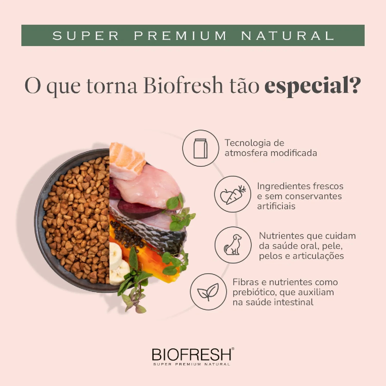 Racao Biofresh Lombo e Abacaxi-04